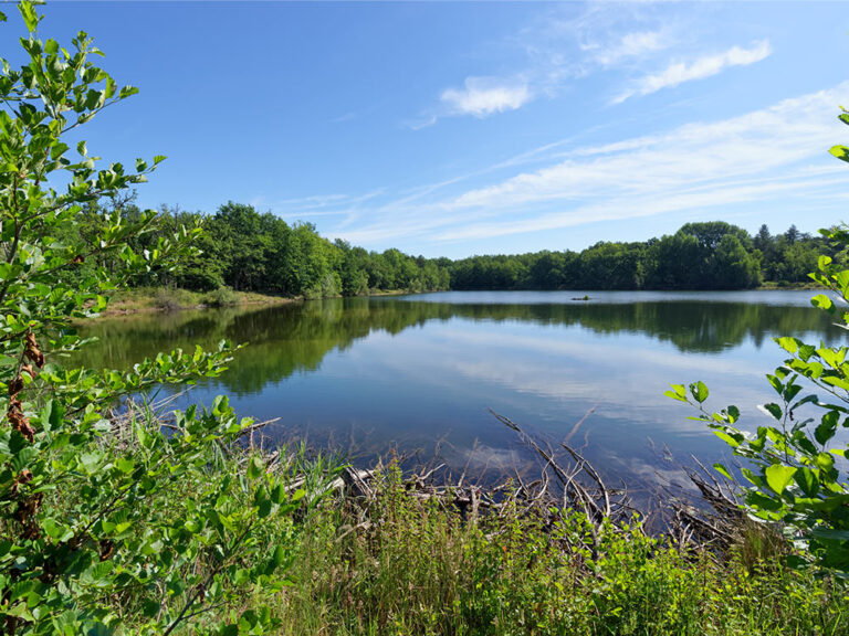 lac maine angers