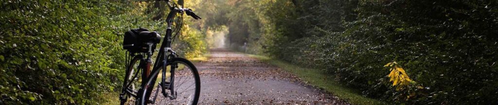 la loire à vélo