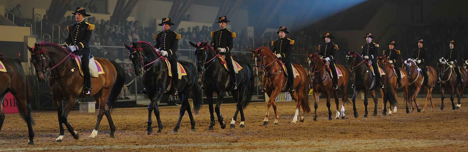 Le cadre noir de Saumur - Nouveau spectacle