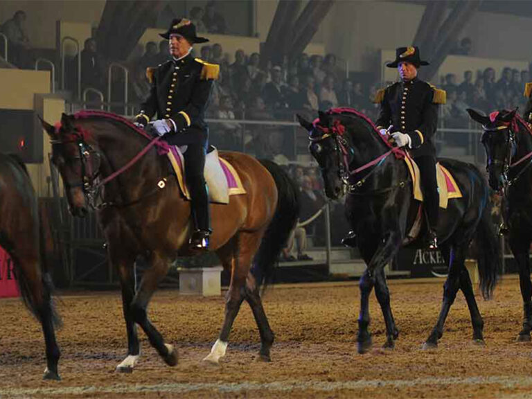 le cadre noir de saumur