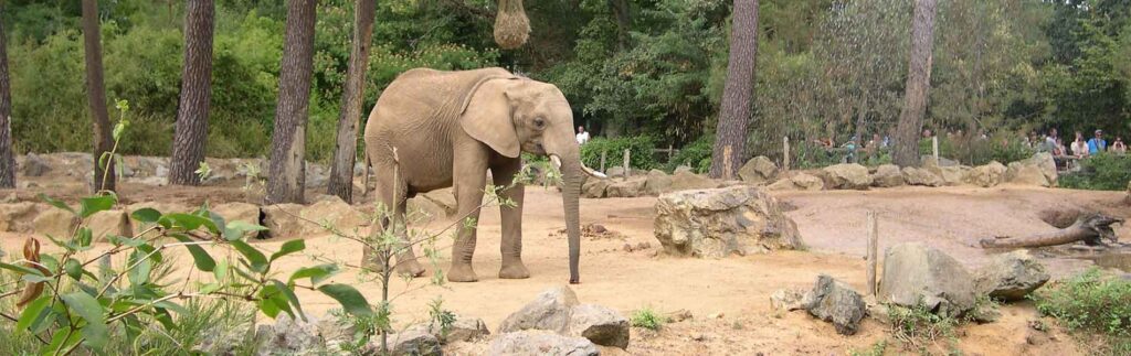 visiter le zoo de la fleche