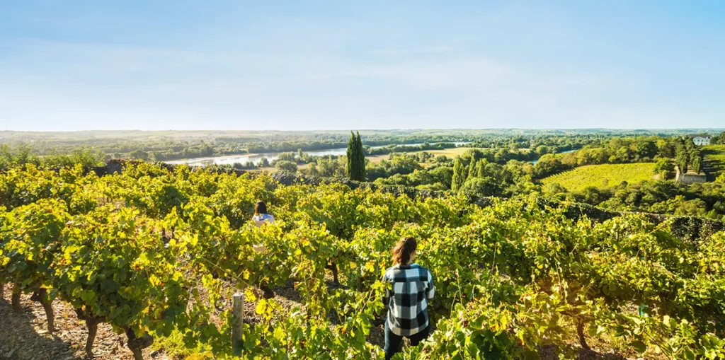 val de loire vin