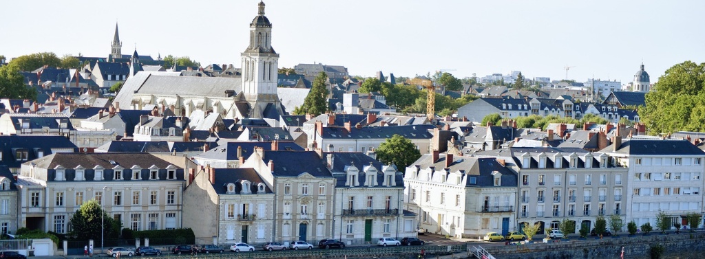 Muséum des sciences naturelles d'Angers